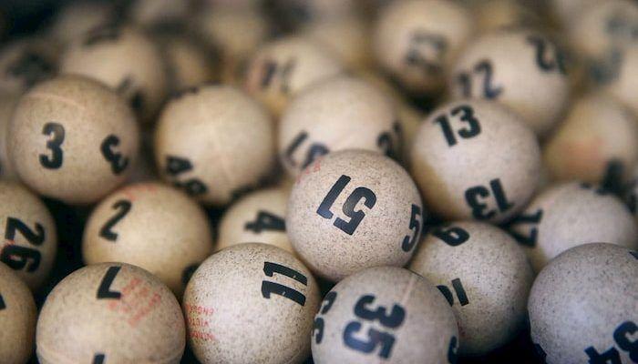 Cách nuôi bạch thủ lô khung 3 ngày hiệu quả nhất - Thenyic
